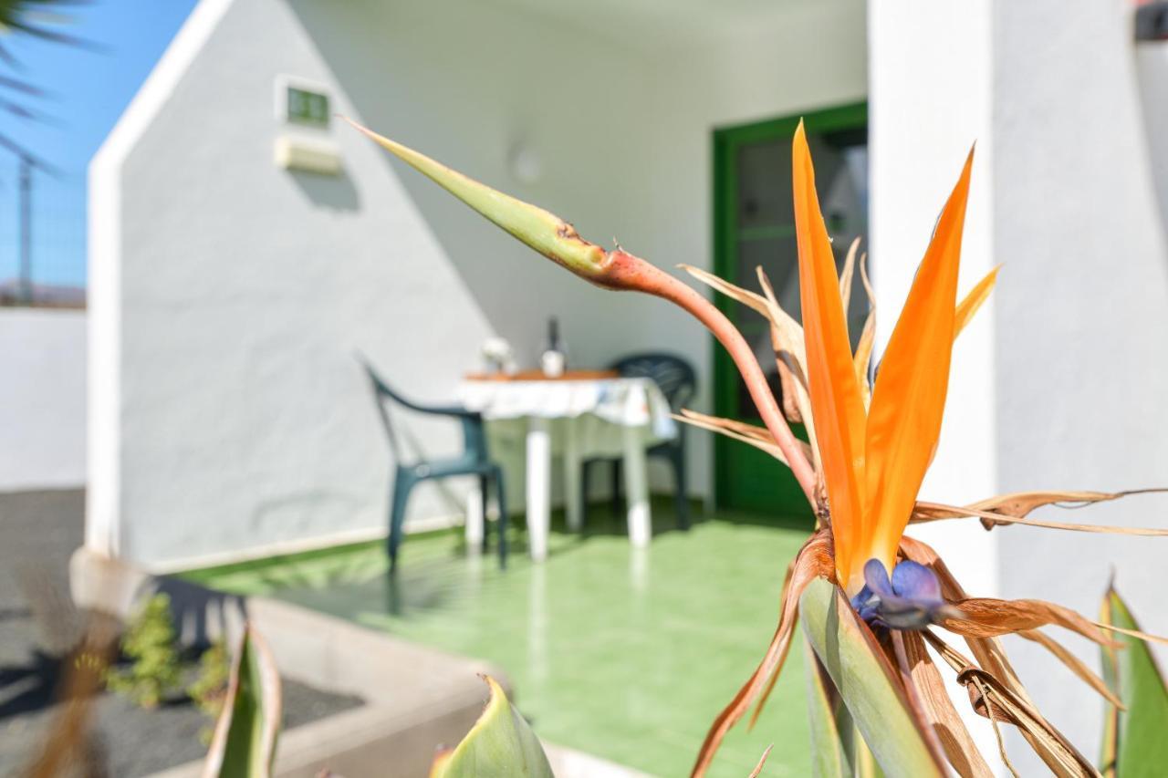Mimosa B1 Puerto del Carmen (Lanzarote) Exterior foto